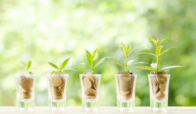 278th Investing in Impact: Solving Challenges of People and Planet Profitably
